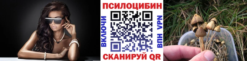 Галлюциногенные грибы Psilocybe  mega ТОР  Вихоревка 